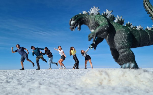 THREE DAYS CLASSIC SHARED TOUR ,  UYUNI SALT FLAT AND LAGOONS( PRICE PER PERSON)